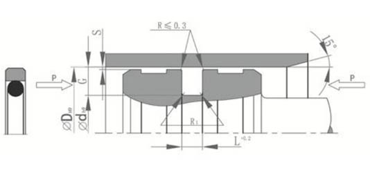 ptfe piston seals