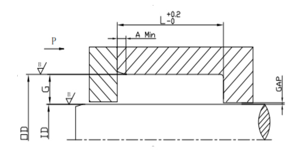 valve lip seal