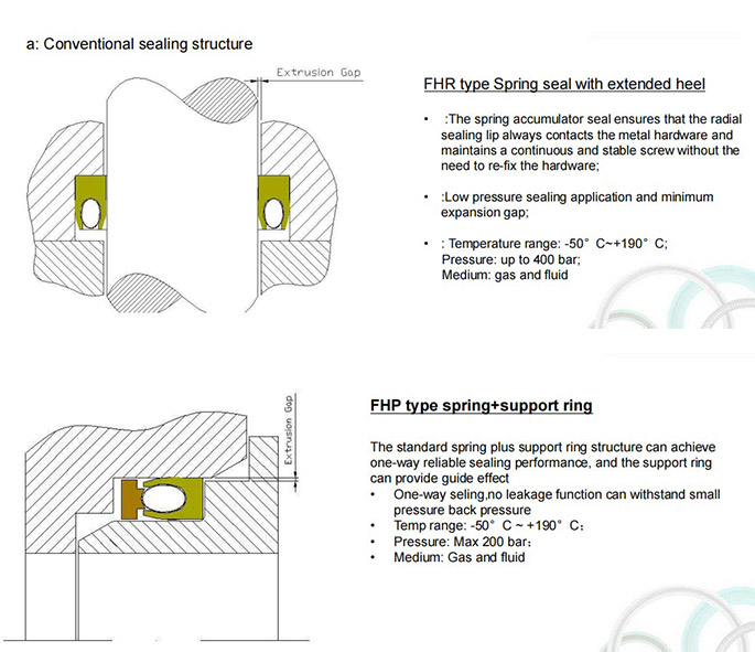 spring energized lip seal