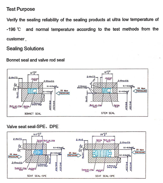 spring energized PTFE seal