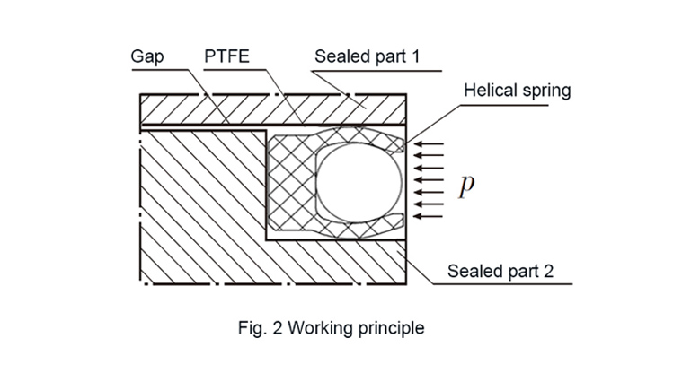 spring energized ptfe seals