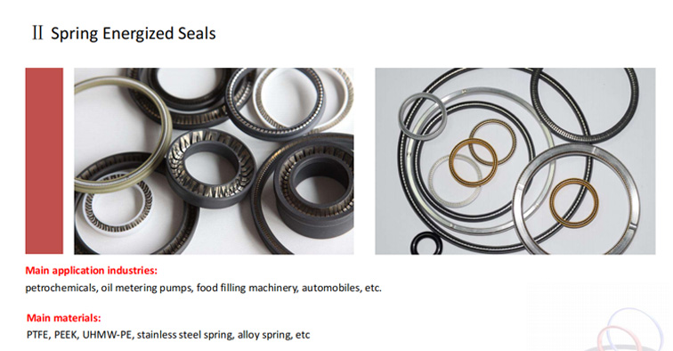 Spring Energized Seals