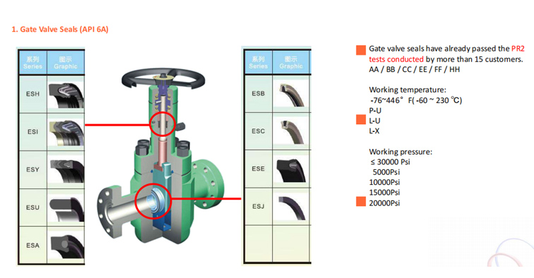 Gate Valve Seals