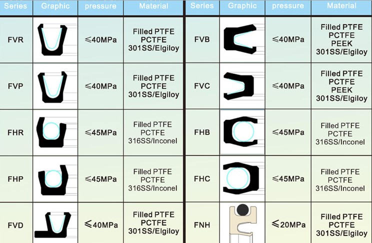 Spring Energized Seals