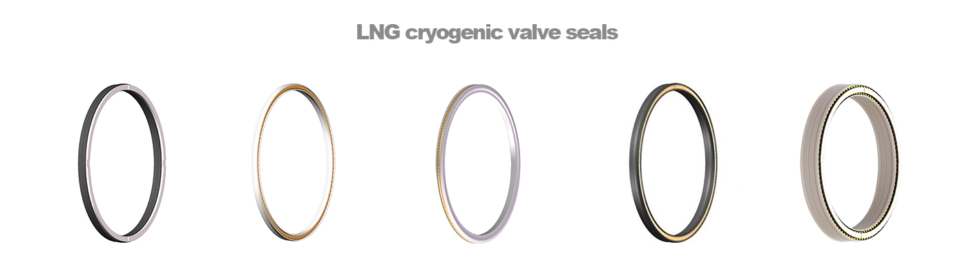 LNG cryogenic valve sealing
