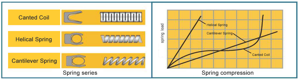 spring energized seal