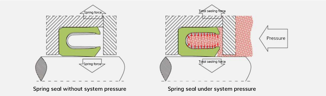 spring energized seal