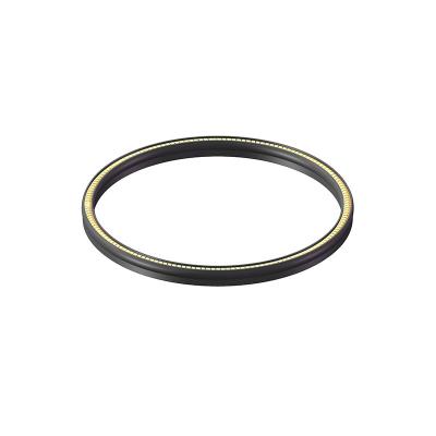 Spring energized PTFE seals