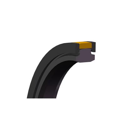 Hydraulic piston PTFE SPGW seal